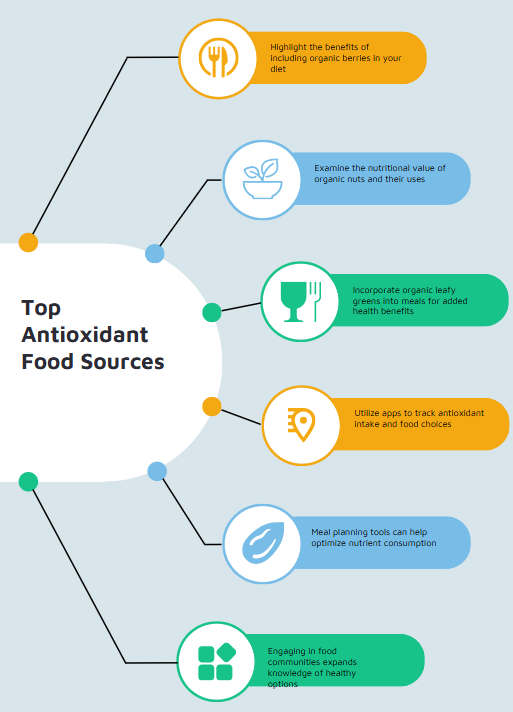 Top antioxidant food sources